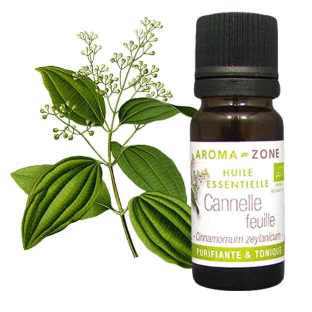 Huile essentielle de Cannelle de Ceylan BIO AROMA-ZONE Pour Puissance, Chaleur & Protection naturelle